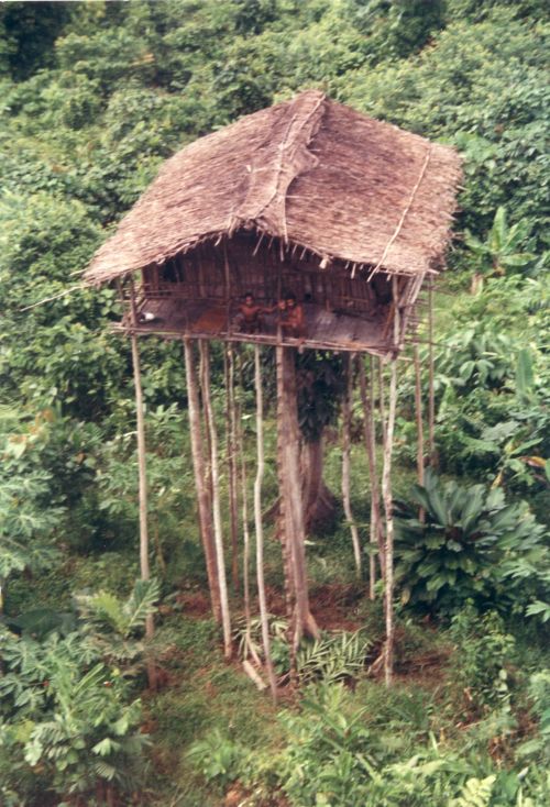 tree house